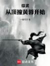 综武:桃花岛第一深情