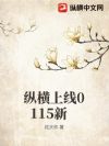 纵横上线0115新