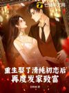 重生娶了清纯初恋后,再度发家致富!